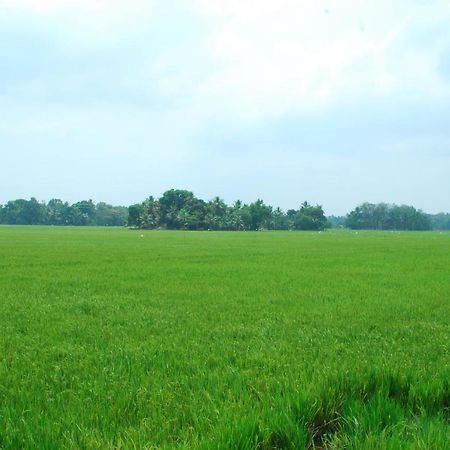 Triveny River Palace Ξενοδοχείο Alappuzha Εξωτερικό φωτογραφία